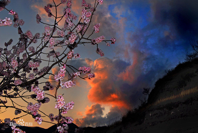 6a600c338744ebf8b846f818d9f9d72a6059a7e6.jpg 6a600c338744ebf8b846f818d9f9d72a6059a7e6.jpg